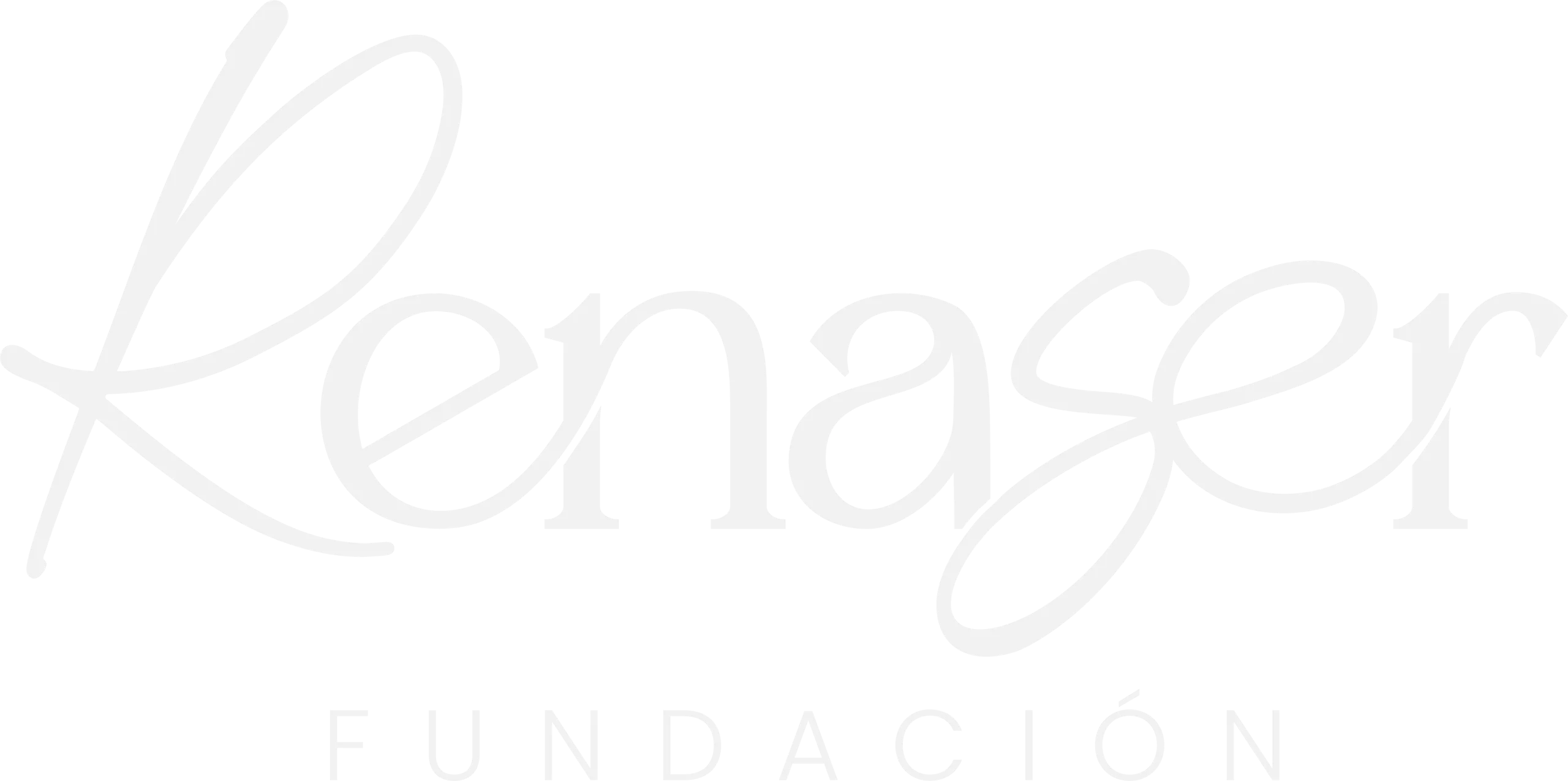 Fundación Renaser